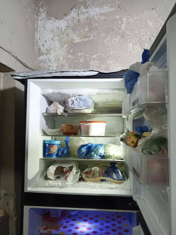 Full size refrigerator of PEL 2