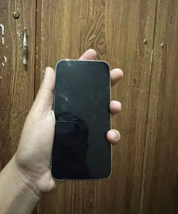 iphone 13 pro Pta 1