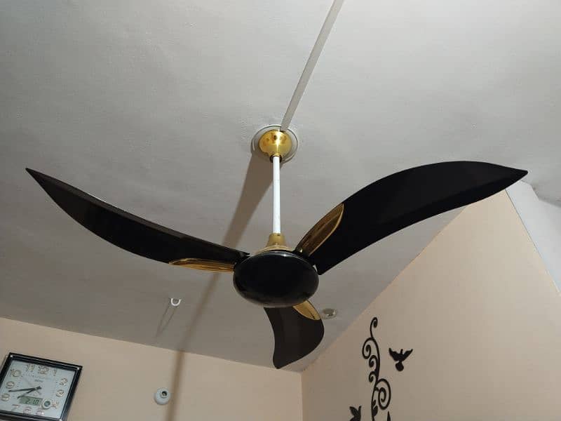 Pak Fan "Pride" Ceiling fan (Black & Gold) 4