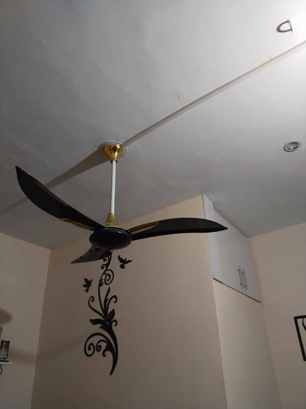 Pak Fan "Pride" Ceiling fan (Black & Gold) 5