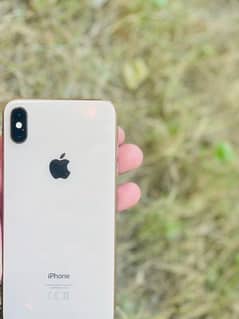 Xs max pta approved