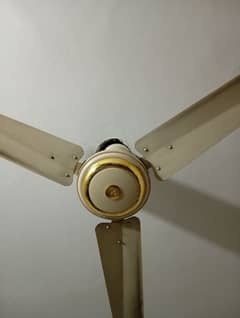 Two fans available in good condition with copper wires.