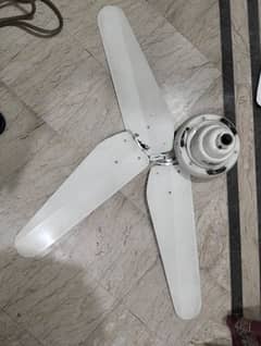 Roof Ceiling Fan