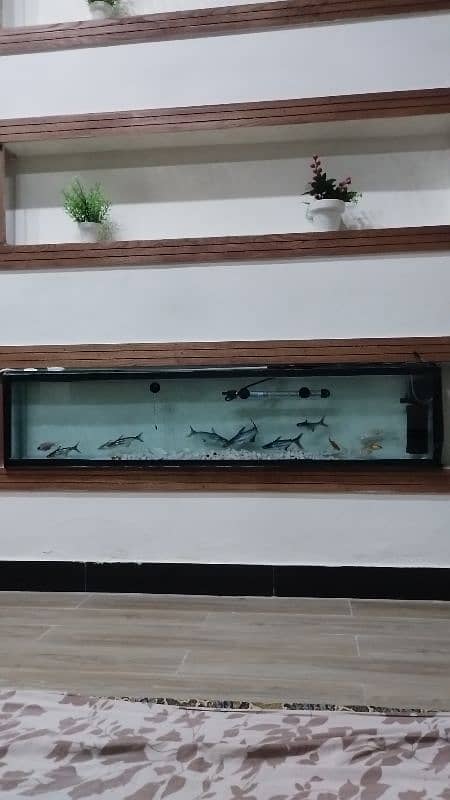 aquarium for sale 8mm glass without accessories 0