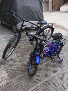 Full Size Cycle & Kids Cycle Available