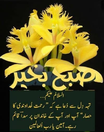 Urgent Hiring – Female Strict Teacher for Home Tuition