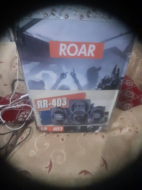 Roar 403 A Good System 4