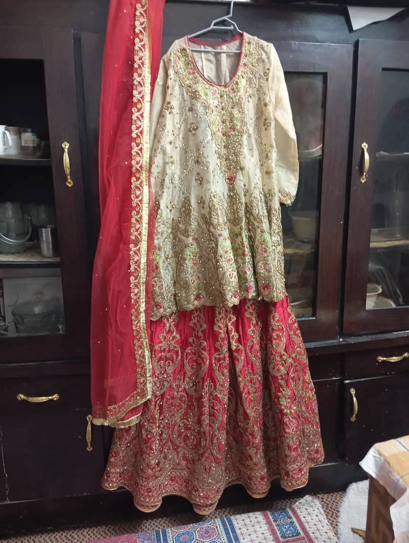 Garara and shirt+ lehnga and shirt 1