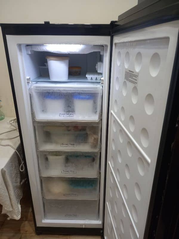 Pel vertical freezer 1