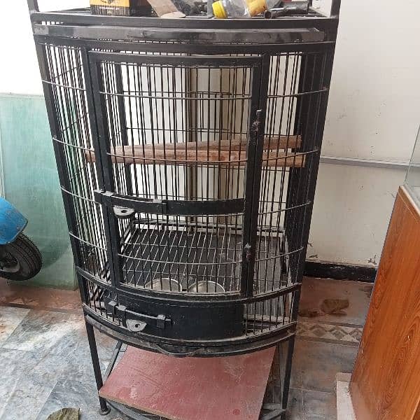 grey parrot cage 1