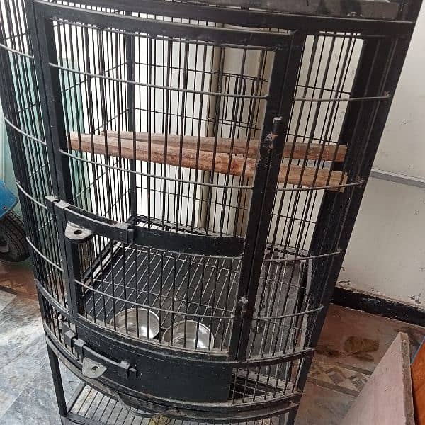 grey parrot cage 3