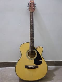 (Singer) Acoustic Guitar