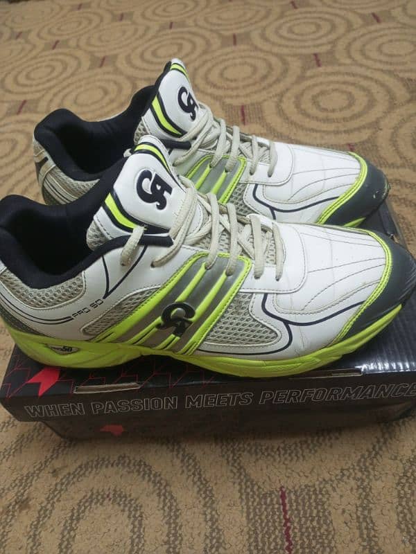 CA Pro 50 , Cricket shoes 1