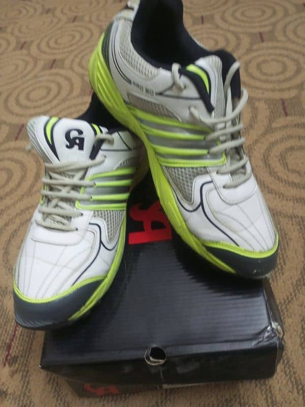 CA Pro 50 , Cricket shoes 4