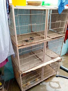 parrots cage