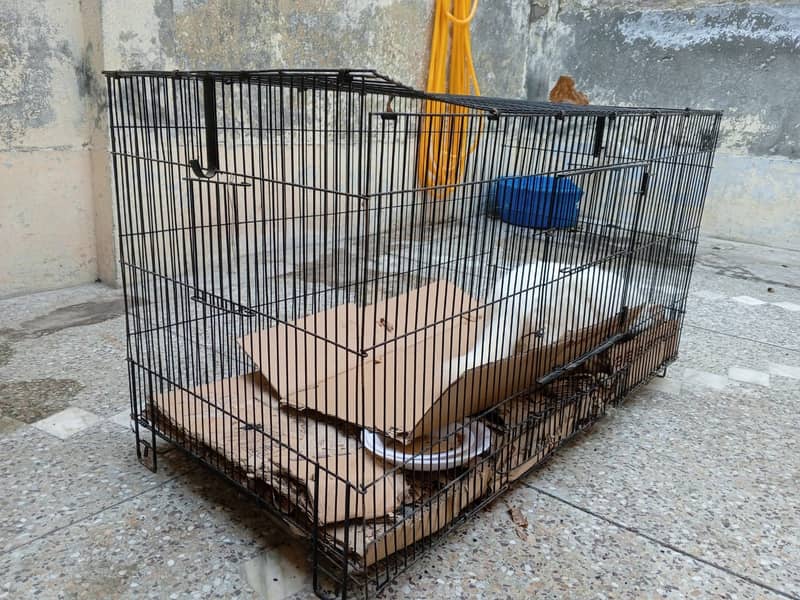 Big 13 kg cage with thick wires for any kind of pets u have 6