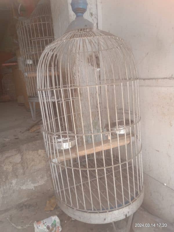 cages piyalia drinker cheeka birds sb chiz hai 4