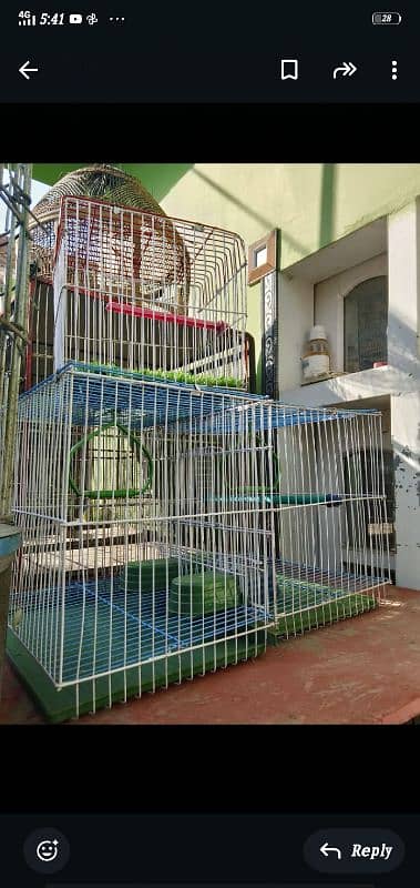 cages piyalia drinker cheeka birds sb chiz hai 7