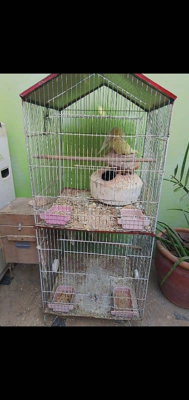 cages piyalia drinker cheeka birds sb chiz hai 11