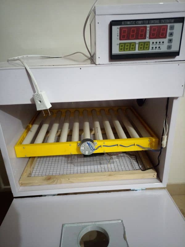 manual & automatic incubator, brooder 30,50,100,150,240,320,500 eggs 4