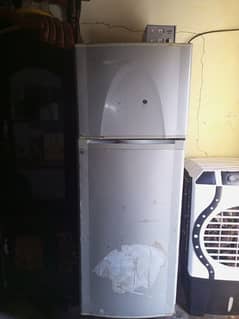 Large size fridge