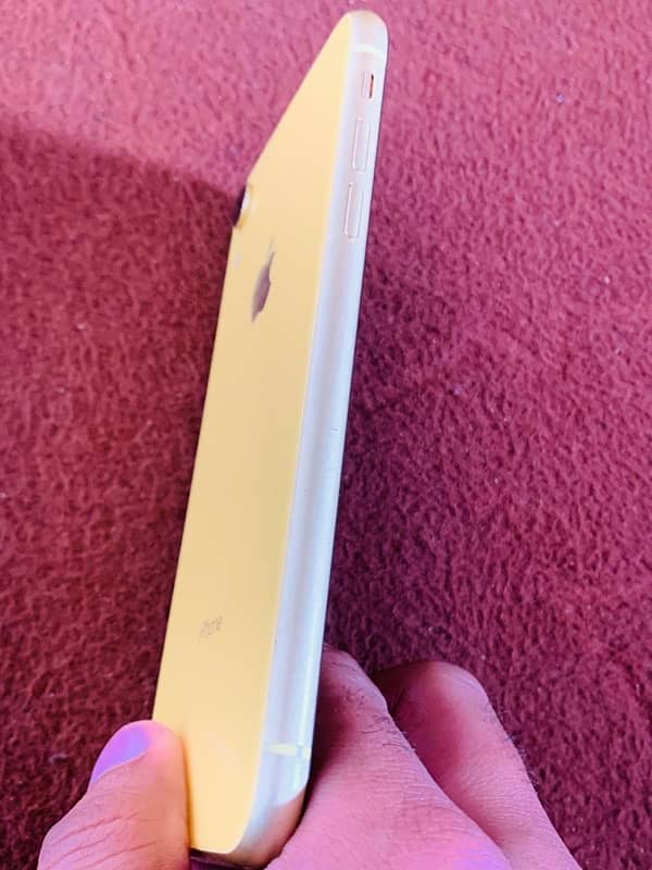 iPhone Xr (64GB waterpack) 2