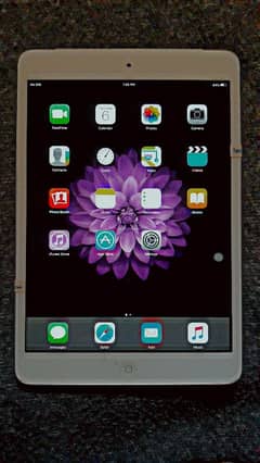 iPad mini 2 16 GB exchange possible