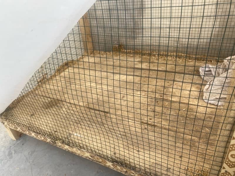 wooden hen cage for sale only 10 days used 2