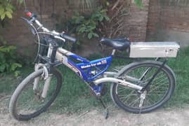 Electric Bicycle