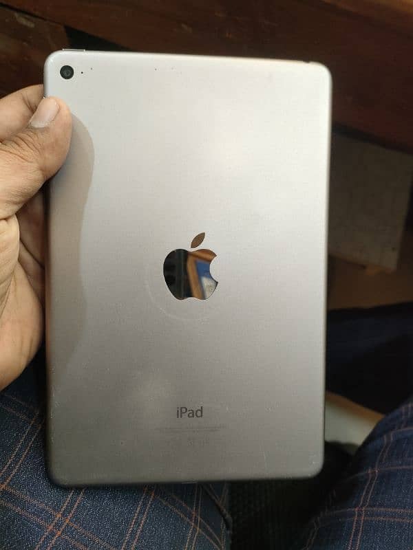 ipad mini 4 0