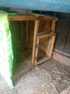 2 hen cages for sale