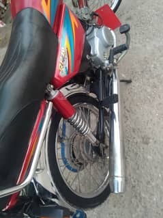 Road Prince RP 70 Passion 2021