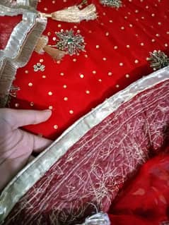 Red bridal dress