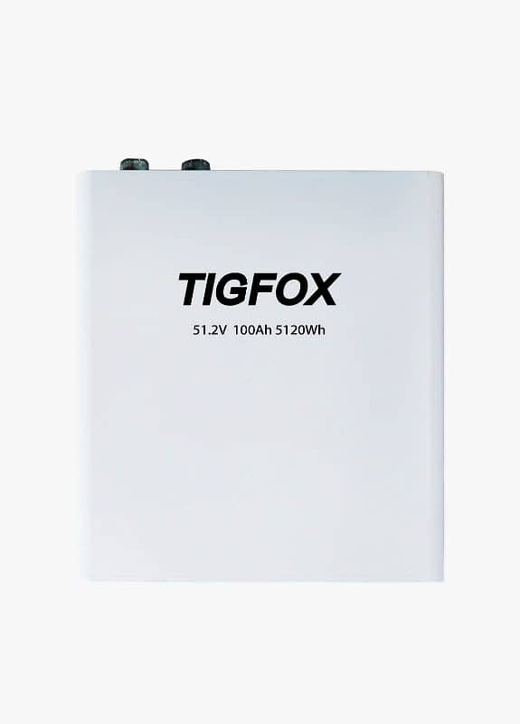 Tigfox 48/100 1