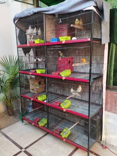 cage |  birds cage | steel cage | pinjra | hen cage |Animal cage