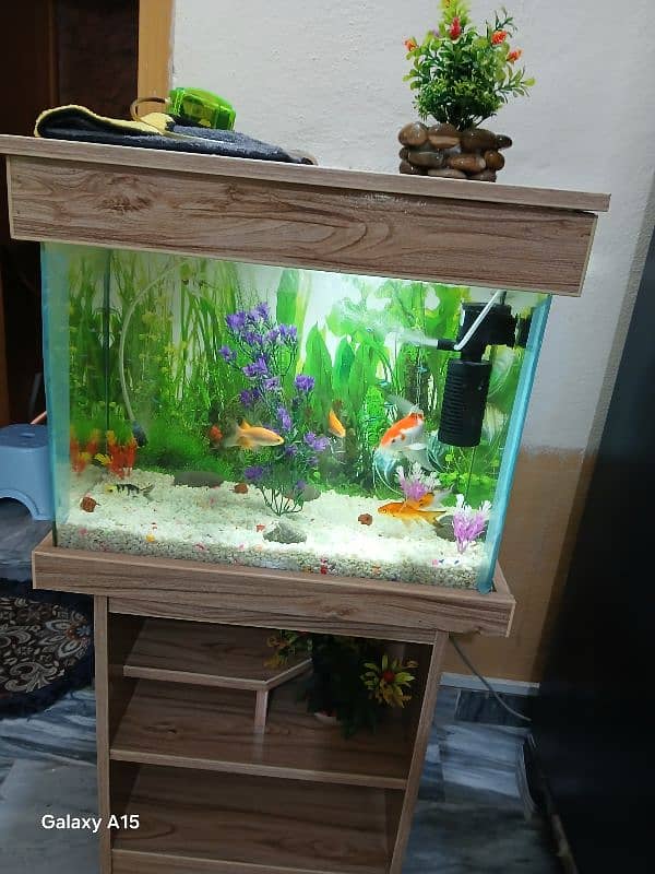 Aquarium Tank 1 x 1.5ft size with 7 gold fishes 7