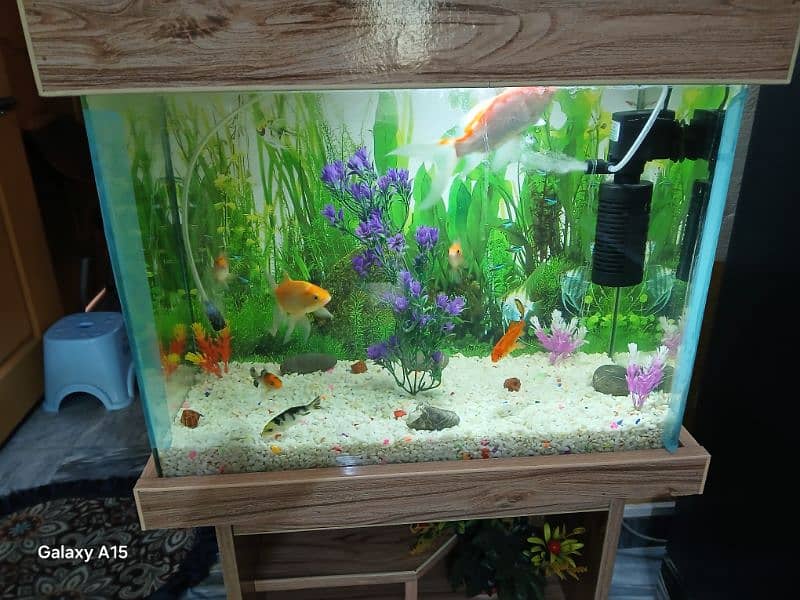 Aquarium Tank 1 x 1.5ft size with 7 gold fishes 10