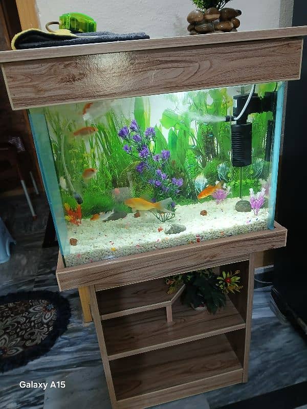 Aquarium Tank 1 x 1.5ft size with 7 gold fishes 11