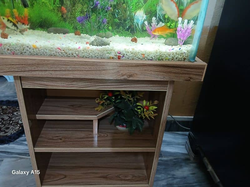 Aquarium Tank 1 x 1.5ft size with 7 gold fishes 12