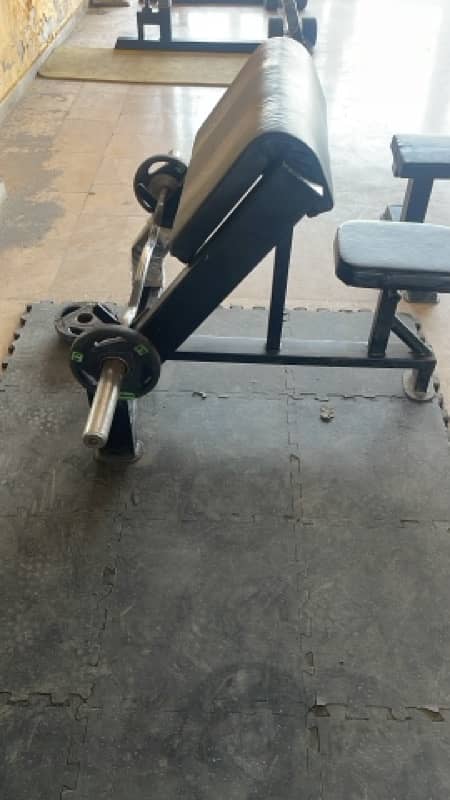 preacher curl 0