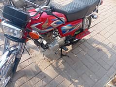 honda 125 2022 call only