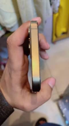 iPhone 12 Pro Max 256 gb non pta sim working 10/10