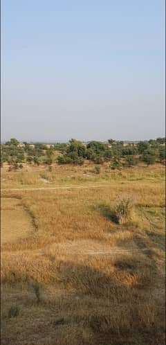 700 Kanal Agricultural Land For Sale In Balksar