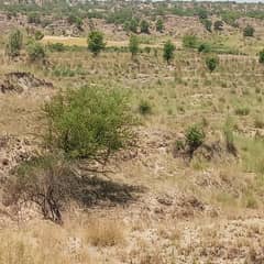 700 Kanal Agricultural Land For Sale In Balksar