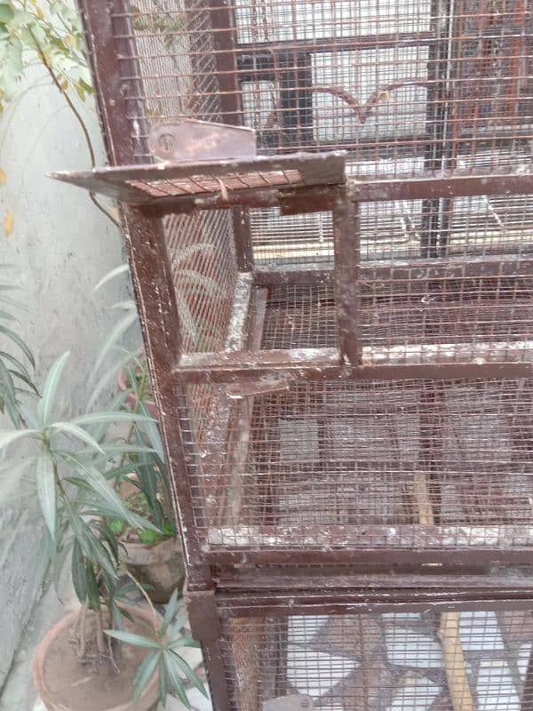 6 birds cages three portion 10