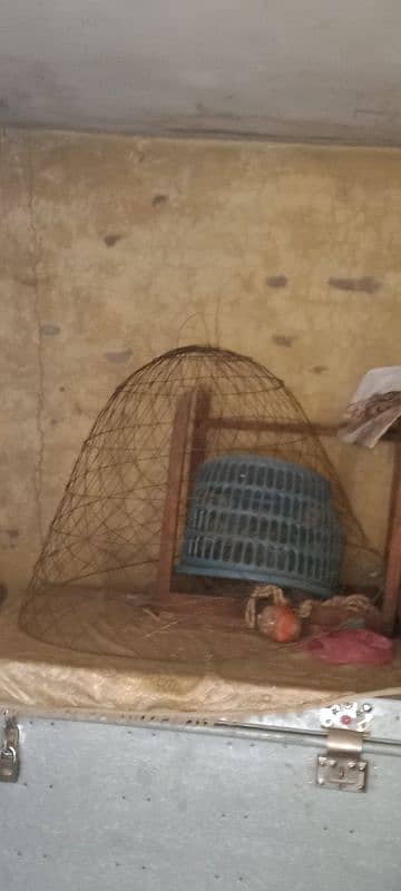 3 cage for sale 11