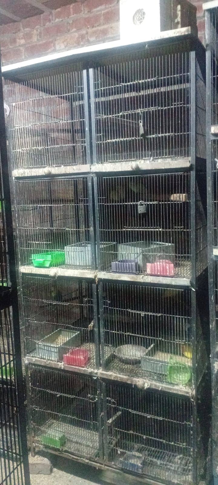 LOVE BIRDS CAGES AVAILABLE 0