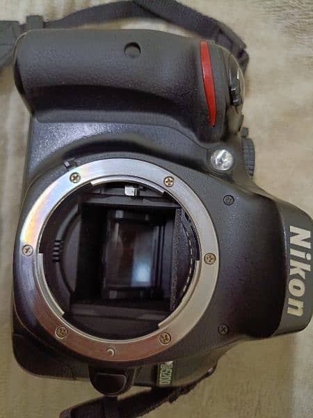 Nikon DSLR with 55-200 lens 3