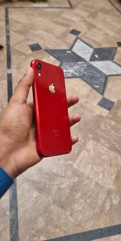 Iphone xr All ok