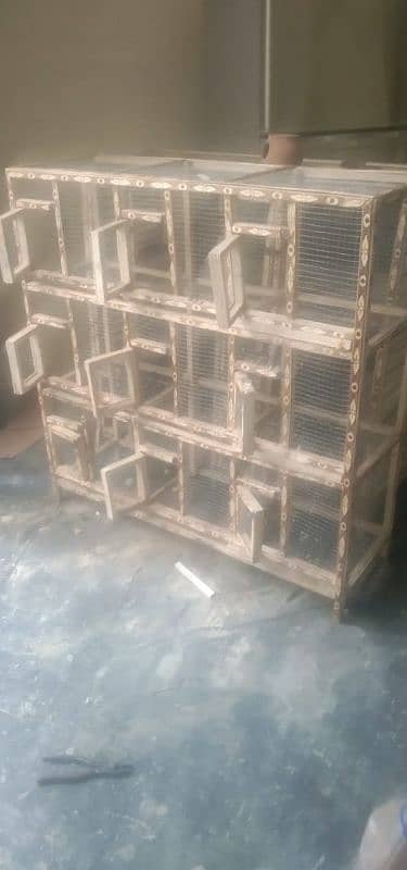 birds cage 2